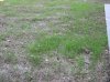 IMG_1161.jpg