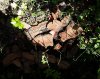 20160506_095700.jpg