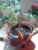 20160506_140250.jpg