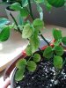 20160506_140317.jpg