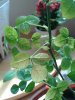 20160506_140325.jpg