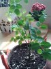 20160506_140334.jpg
