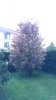 20160504_192437~01.jpg