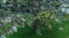 20160504_192517~01.jpg