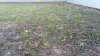 tmp_18081-IMG_20160507_1820161599132246.jpg