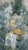 rsz_wp_20160508_029.jpg