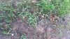 tmp_24752-IMG_20160511_08114445769827.jpg