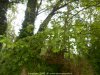 DSCN6501.jpg