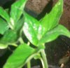 20160512_205445-2-1.jpg