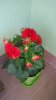 IMG-20160513-WA0006.jpg