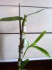 20160520-0001.jpeg