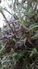 WP_20160520_001.jpg WP_20160520_001.jpg