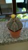 IMG-20160521-WA0012.jpg