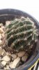 20160525_191637.jpg