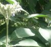IMG_20160527_190046.jpg