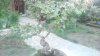P_20160527_210224.jpg