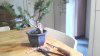 P_20160531_191558.jpg