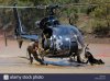 epa04504692-an-ex-special-forces-soldier-and-now-anti-poaching-dog-EBEFKN.jpg