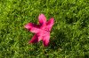 IMG_6121 ok2.jpg