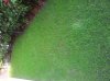 20111020_084025 1600x1200.jpg