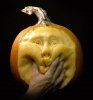 zucca.jpg