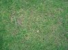 DSC00148.jpg