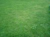 DSC00149.jpg