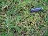 DSC00150.jpg
