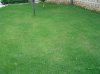 DSC00151.jpg