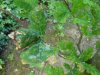 DSC00401.JPG