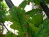 DSC00402.JPG
