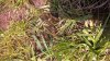 WP_20160605_12_23_50_Pro.jpg