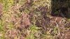 WP_20160605_12_24_21_Pro.jpg