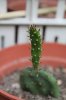 IMG_1680.JPG