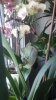 20160617_101648.jpg