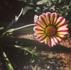 6tag_210616-203754.jpg