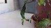 20160625_181159.jpg