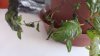 20160625_181043.jpg