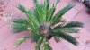 20160627_075247.jpg