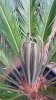 20160627_075301.jpg