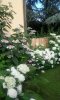 img20160628_215235.jpg