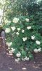 img20160629_183644.jpg