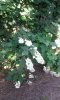 img20160629_183734.jpg