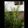 PicsArt_07-07-11.59.07.jpg