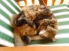 IMG_20160621_140224.jpg