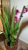 DSC03573.jpg