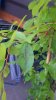 20160709_184340.jpg
