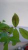 20160709_184347.jpg