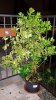 20160712_222406.jpg