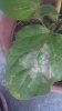 20160717_094639.jpg 20160717_094639.jpg